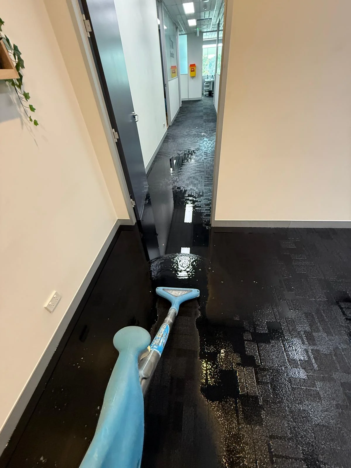 Moisture meter examining marks on a water-damaged ceiling