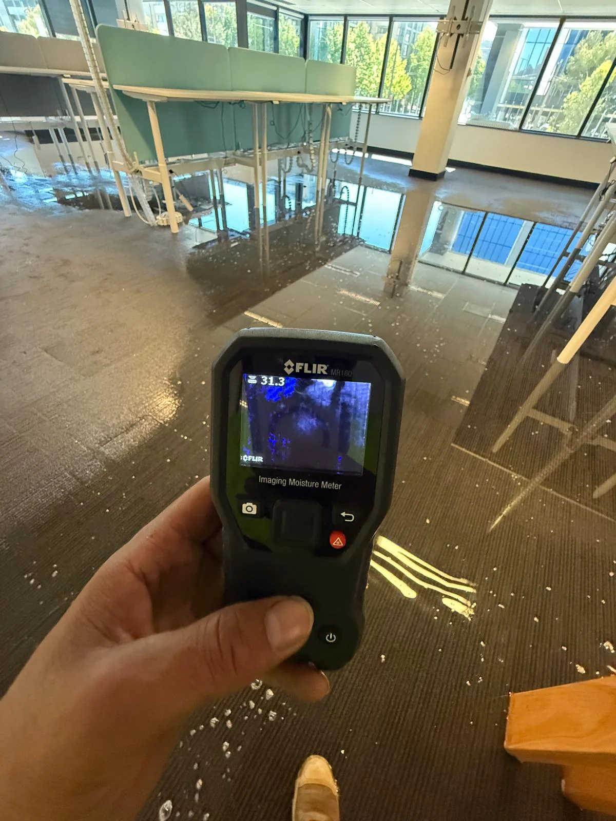 Standing water inside a flooded property