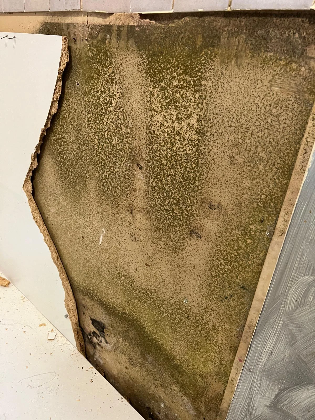 Visible water damage and staining across an interior ceiling